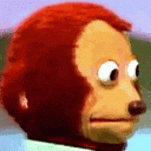Suspicious Monkey